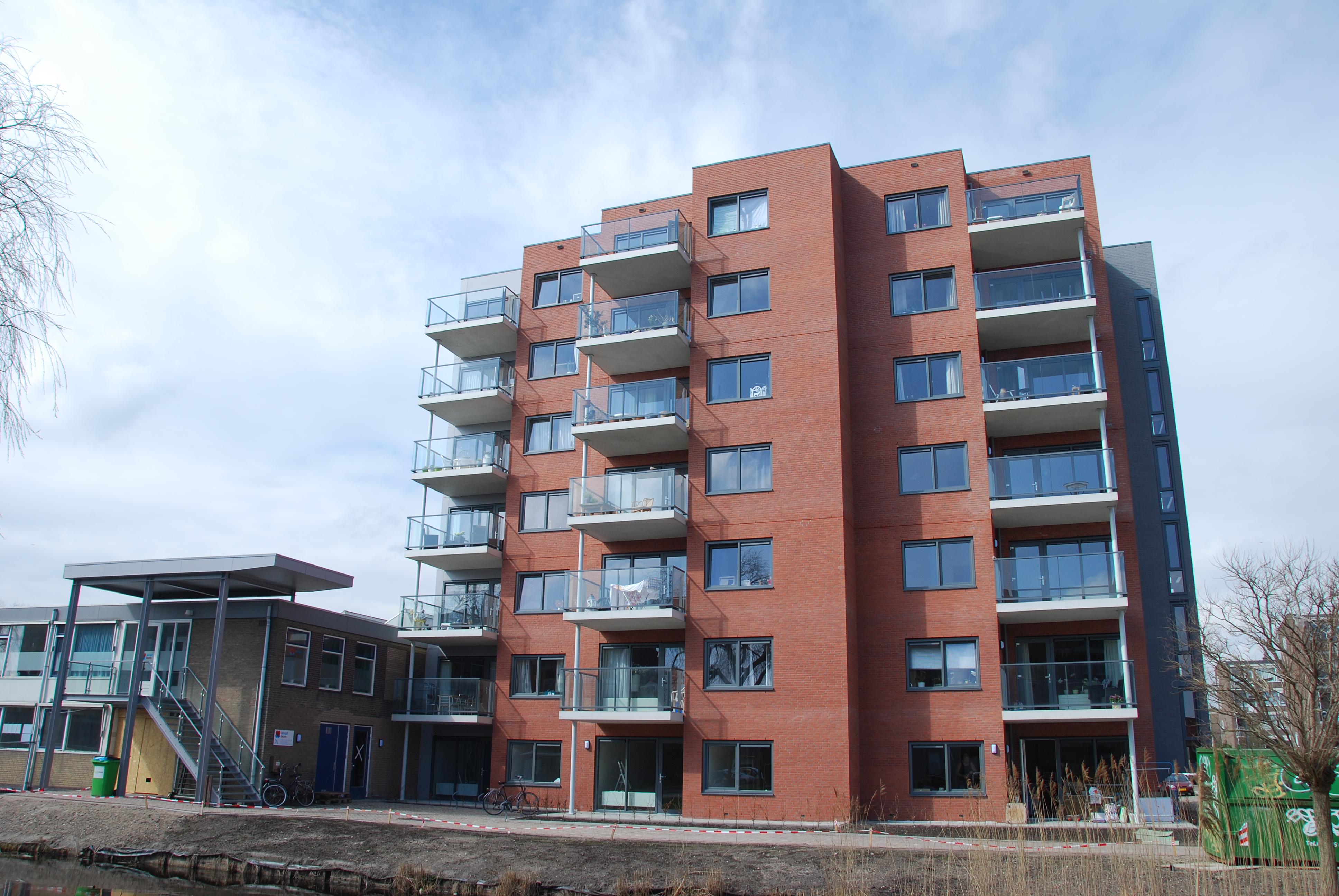 Amandelbloesem (7).JPG