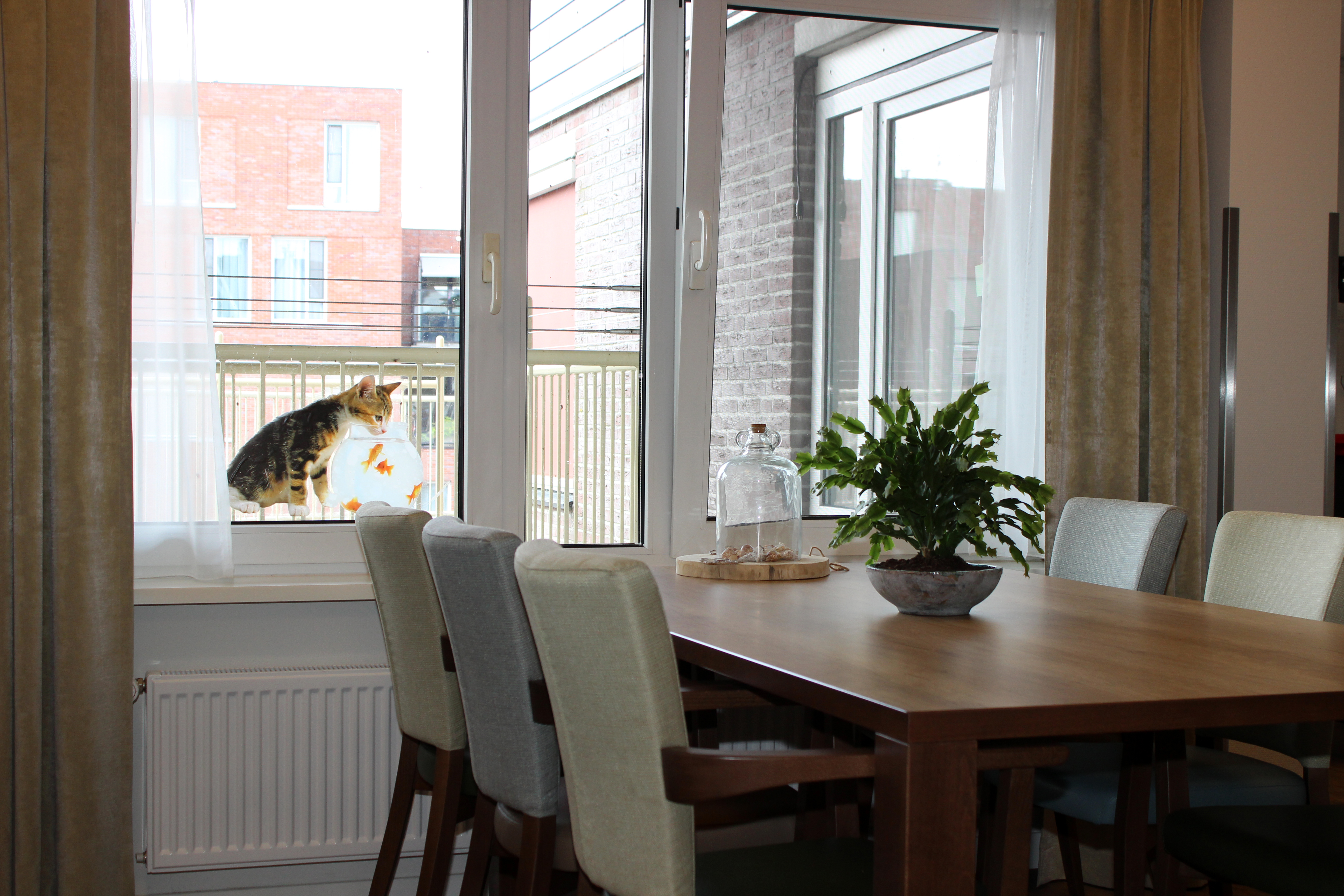 Gouwzee aug 2017 (8).JPG