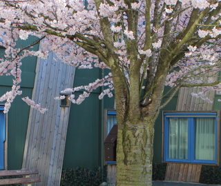 Jaap van Praag mrt 2017 (16).JPG