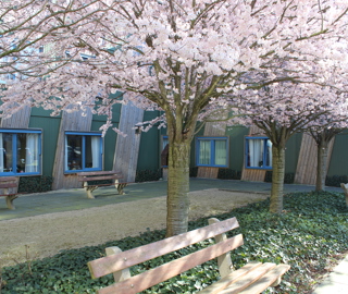 Jaap van Praag mrt 2017 (16).JPG