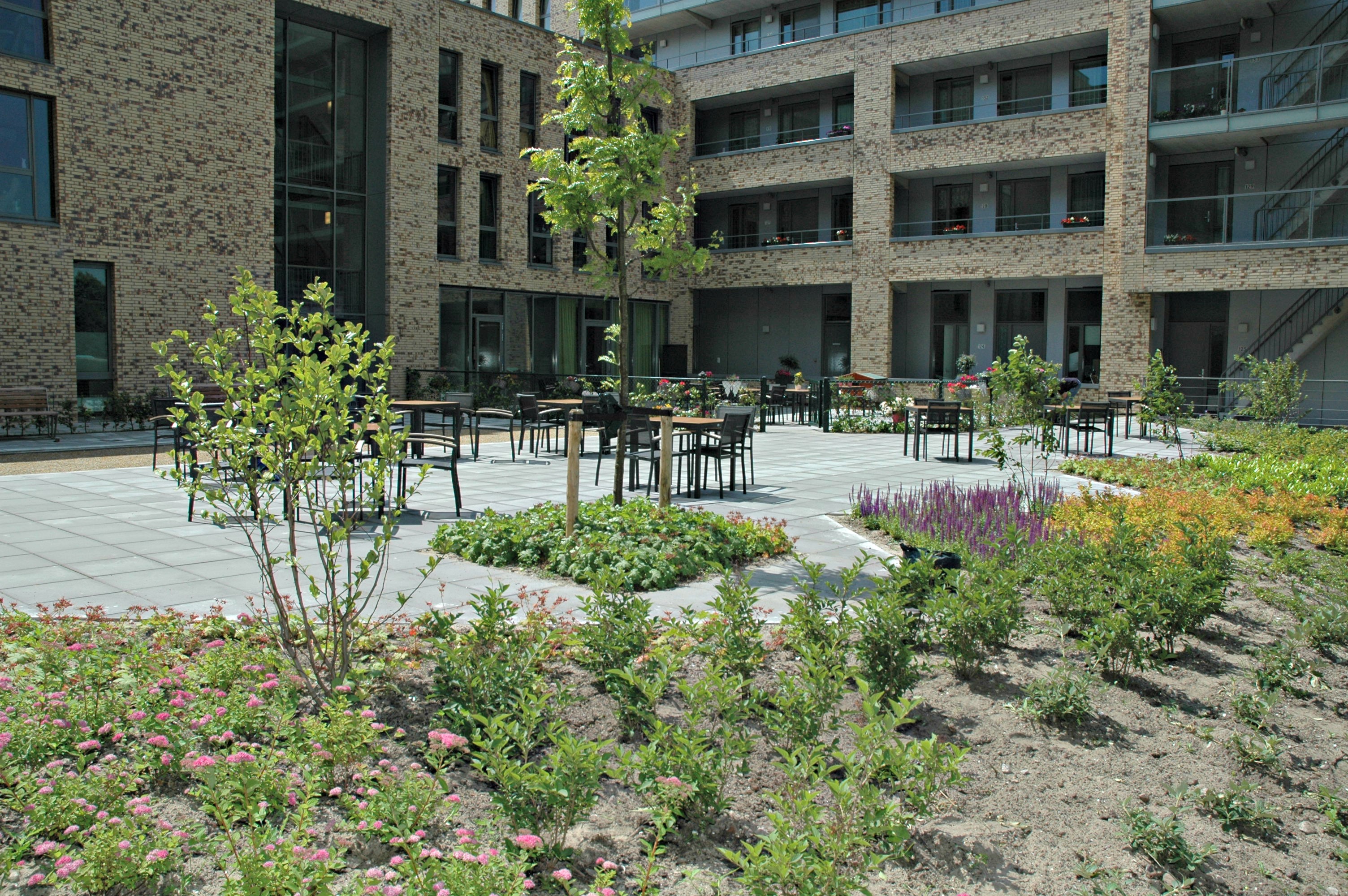 Triton 04-07-2013 (31)a.jpg