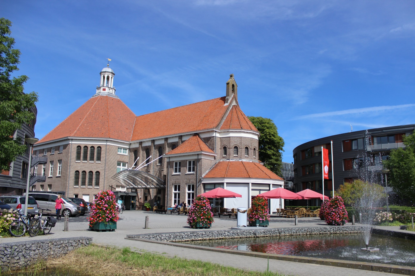 Westerhout roze bloemen.jpg