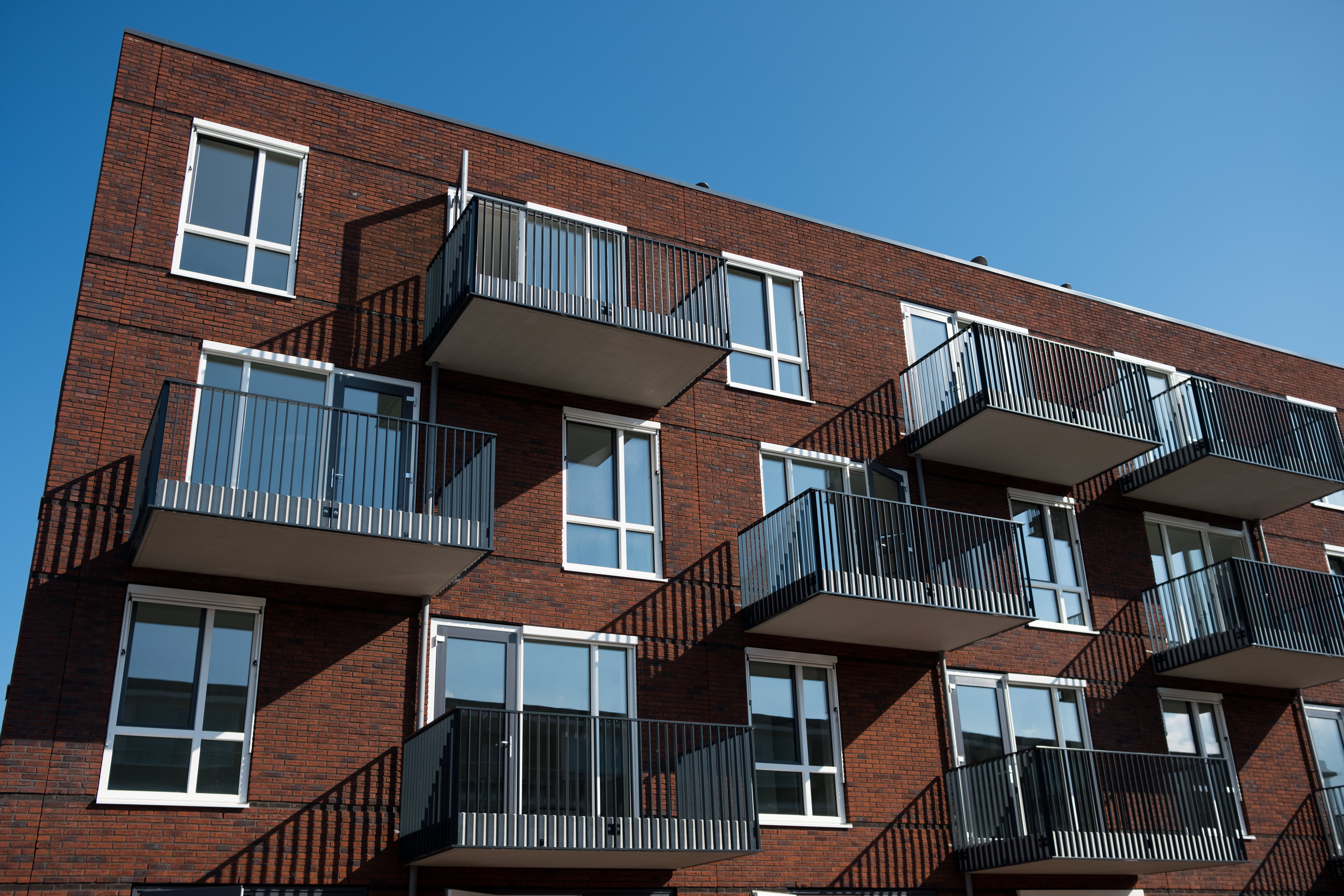 kijkdag Friese Vlaak-HR-1286.jpg