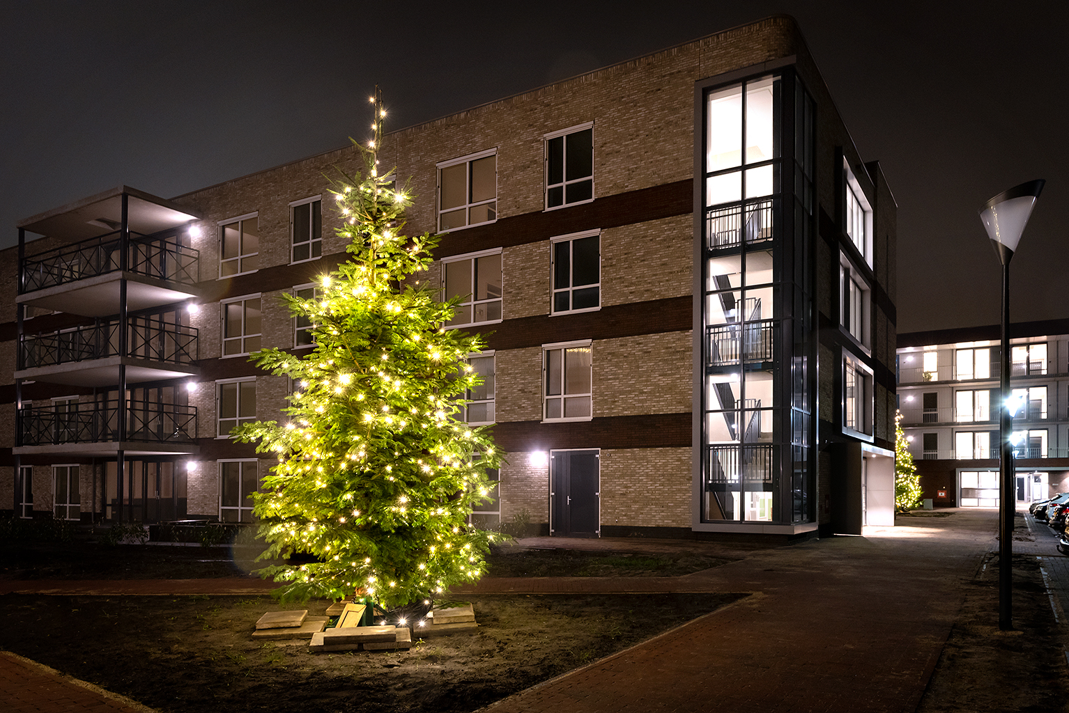 Friese Vlaak_Kerstboom_13.jpg
