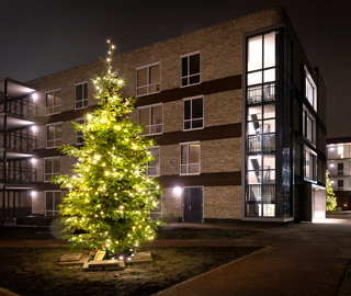 Friese Vlaak_Kerstboom_13.jpg