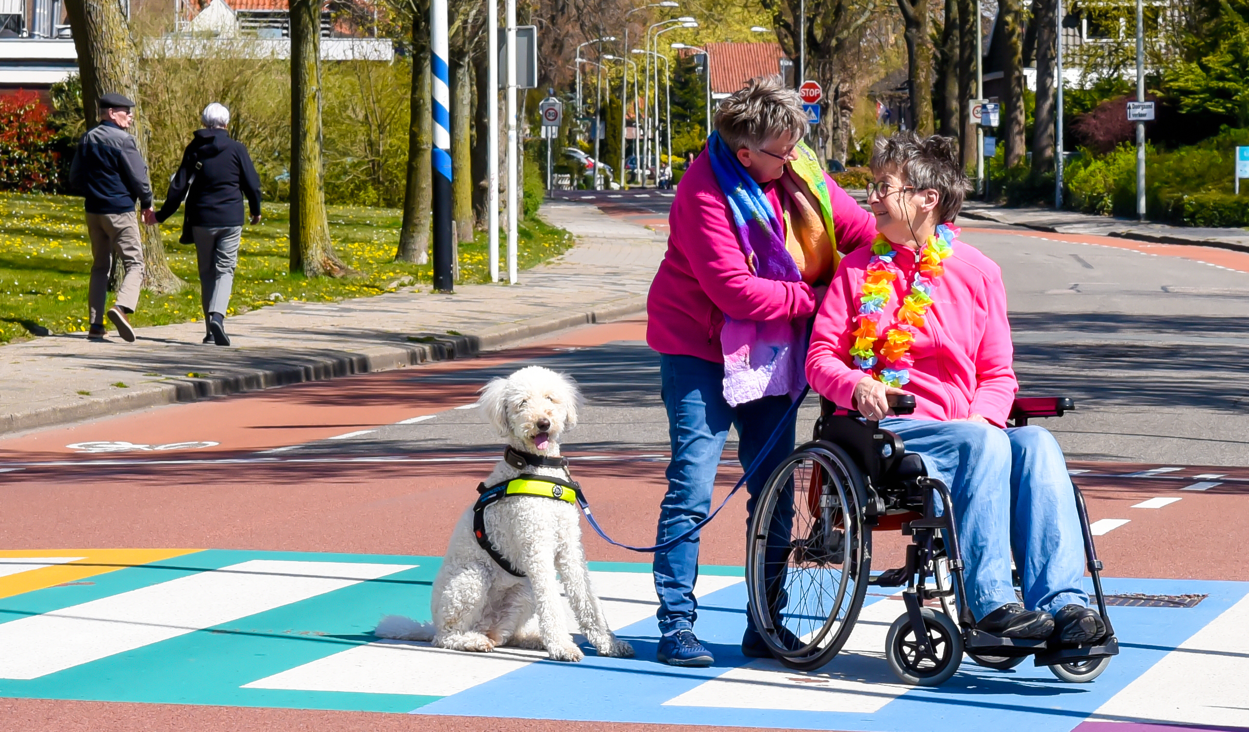 Expositie Roze Loper regio Purmerend_Hotshots (1).jpg