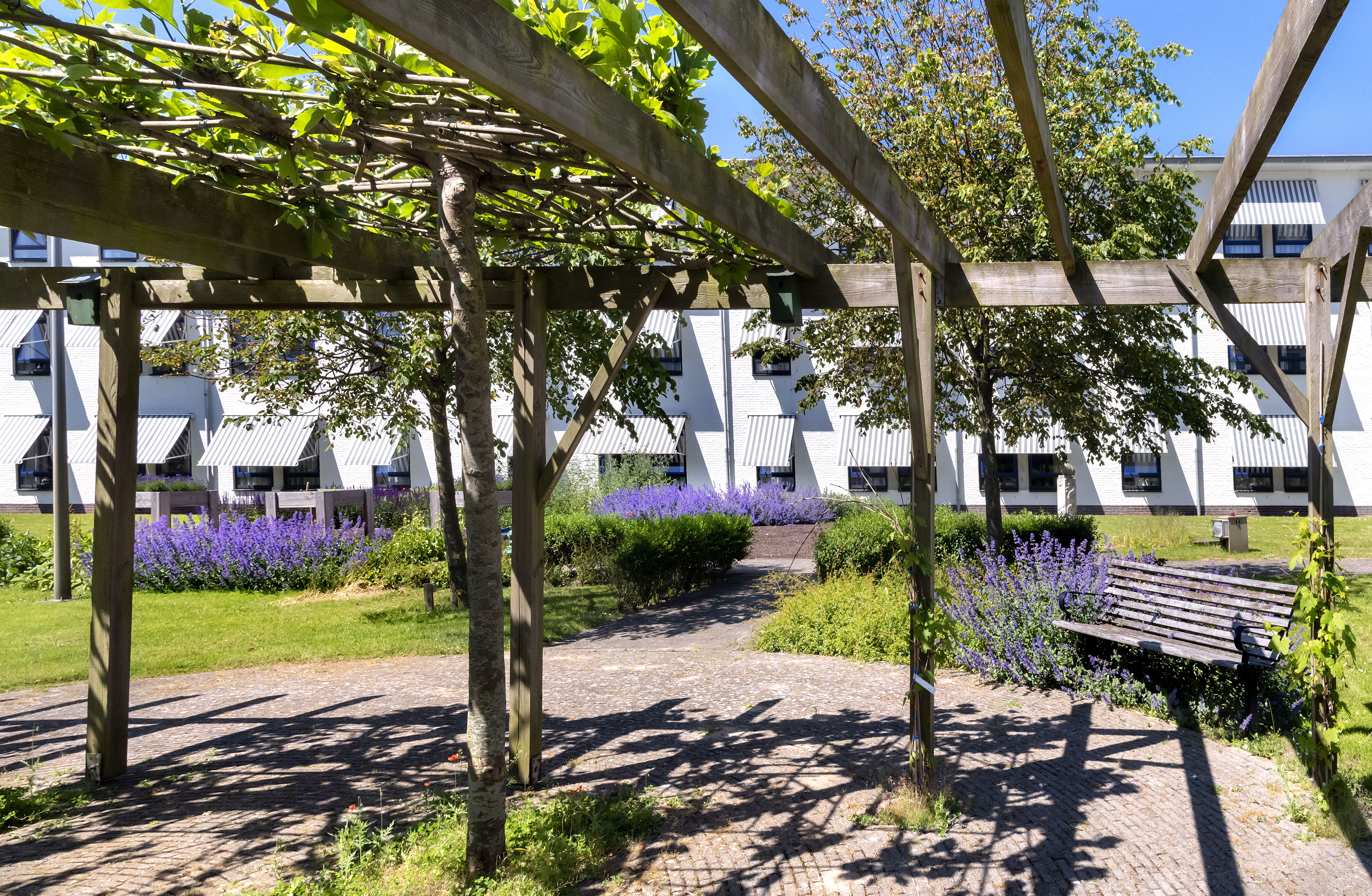 Prins Hendrik_09.jpg