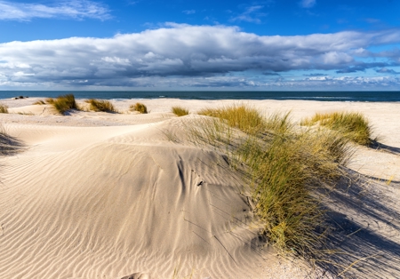 Empty Beaches Spring
