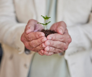 Stockfoto Duurzaamheid
