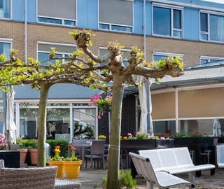 De Mieuwijdt 11 DEZE GEBRUIKEN