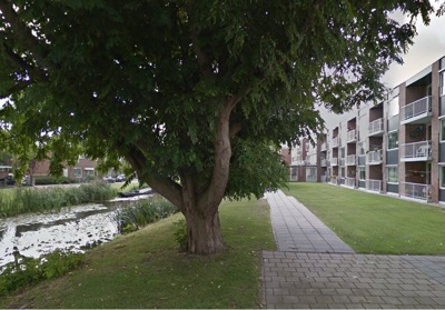Prins Van Oranjestraat Slootkant