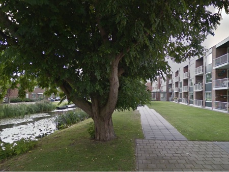 Prins Van Oranjestraat Slootkant