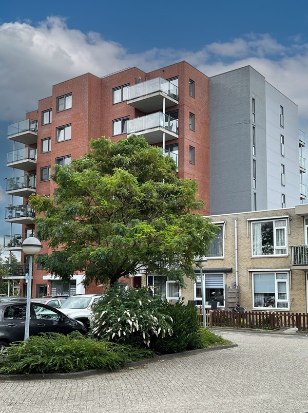 FOTO 12 Met Blauwe Lucht