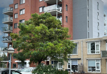 FOTO 12 Met Blauwe Lucht