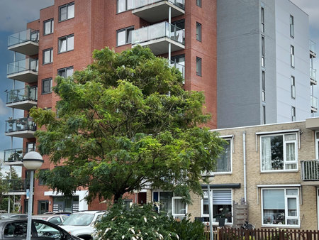 FOTO 12 Met Blauwe Lucht