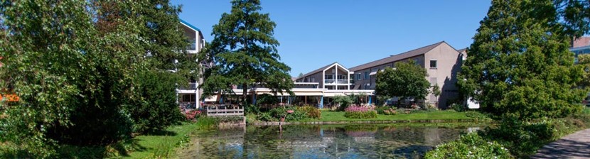 Afbeelding De Tien Gemeenten