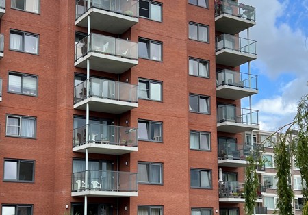 De Amandelbloesem Florissant