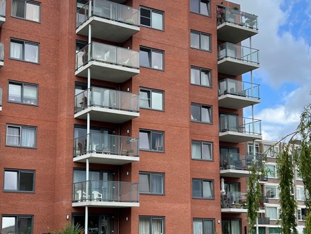 De Amandelbloesem Florissant